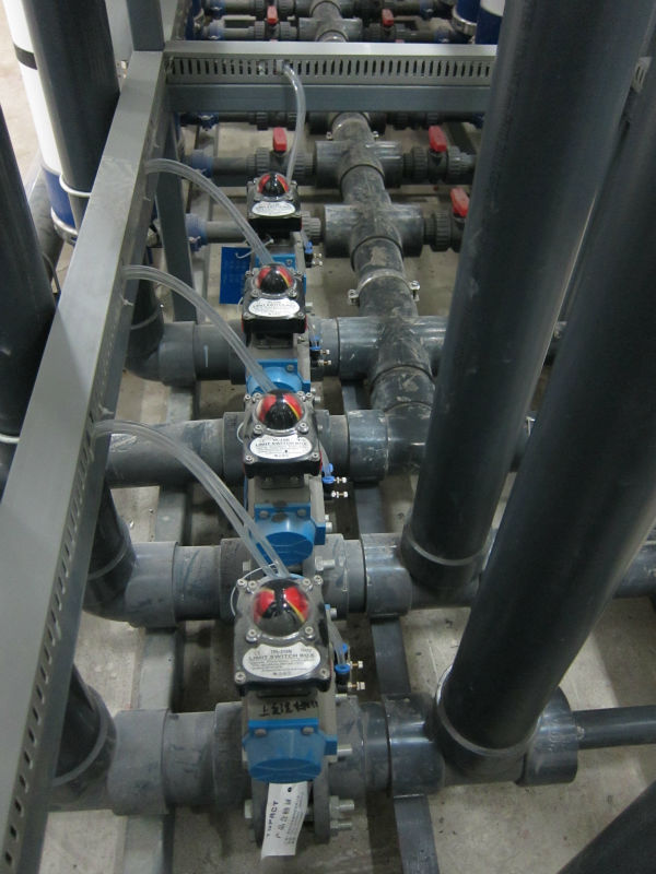 ���̰���20